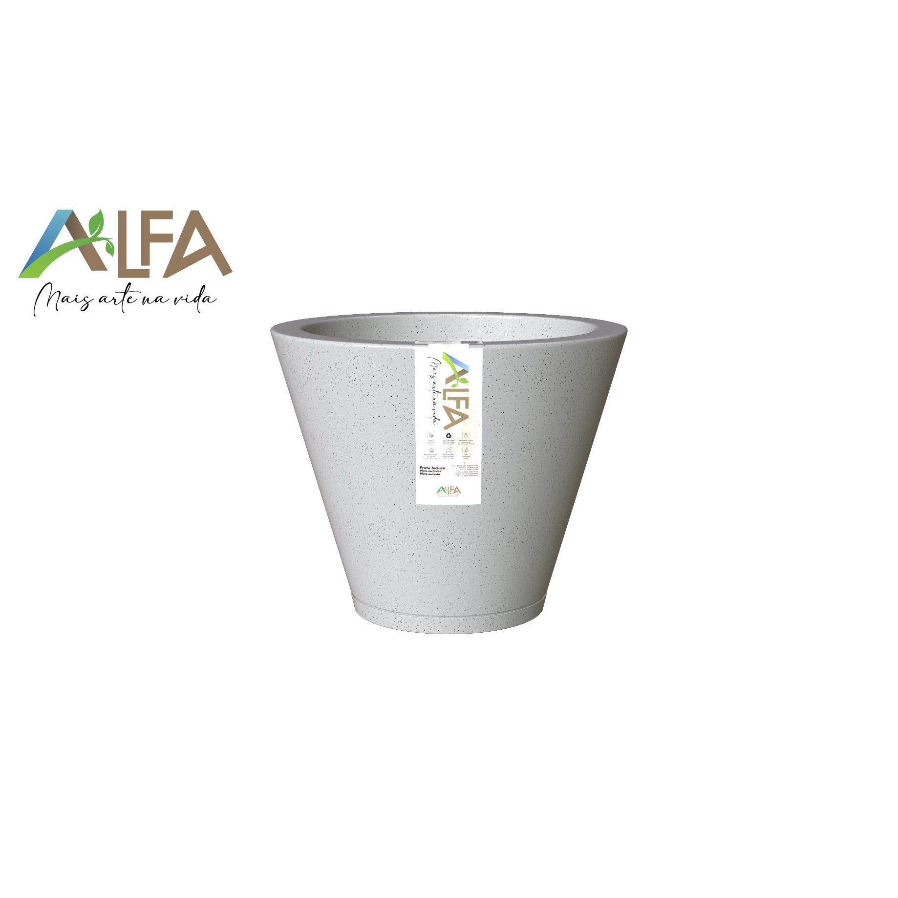 169-e-170-Cone-Petra-Polida-com-Prato